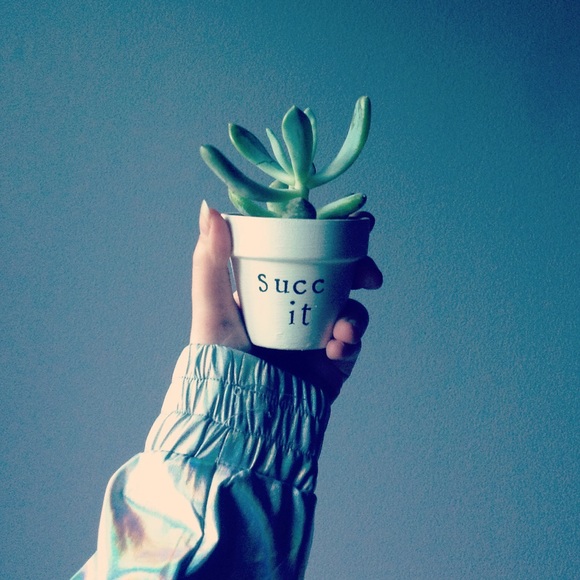 Meet your Posher, Eiry - Picture 1 of 1